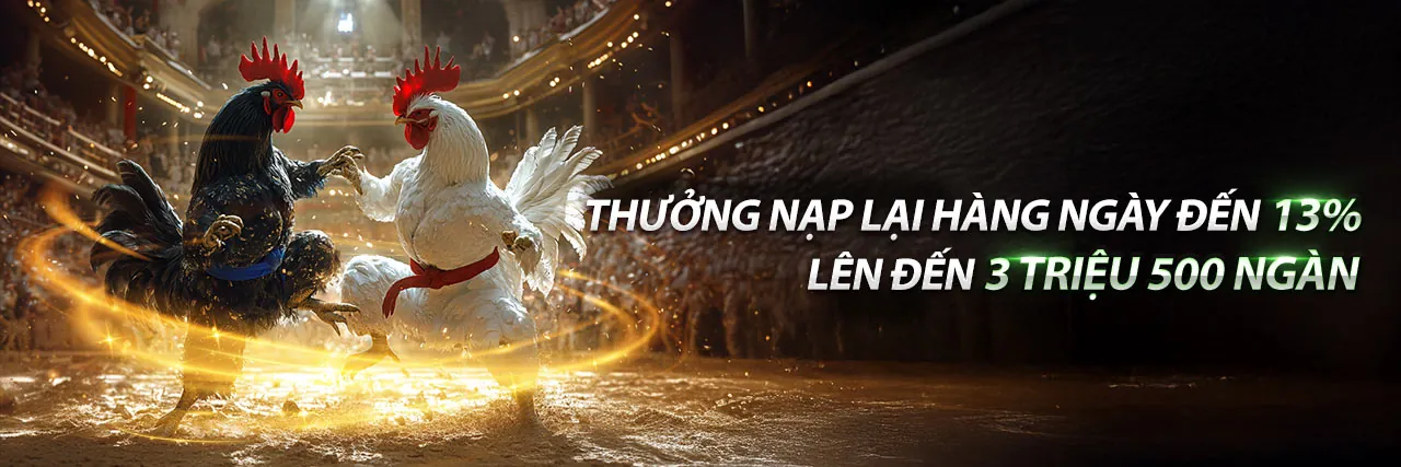 Đá gà trực tuyến 123b